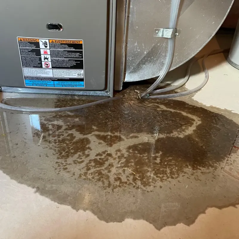 Appliance Leak Cleanup in Quay County, NM