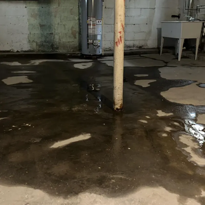 Emergency Water Extraction And Removal in Quay County, NM